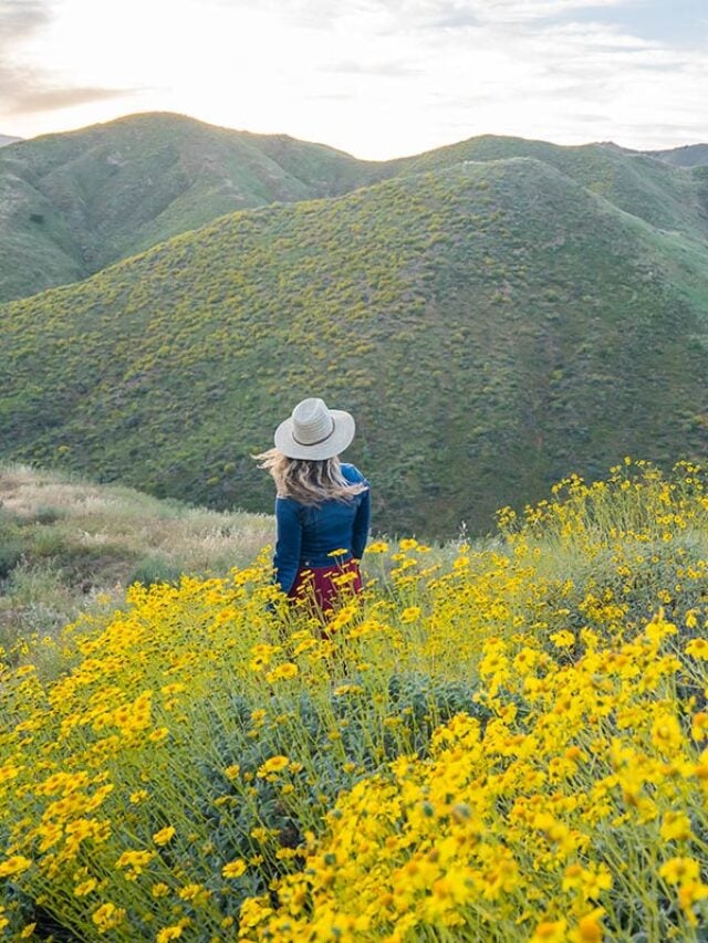 My 65 Best Travel Tips: Save Money, Avoid Mistakes & Travel Like A Pro