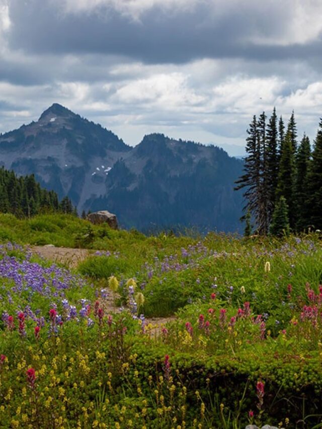 Best Weekend Getaways in Washington State