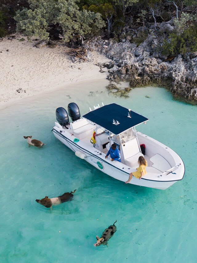 cropped-swimming-with-pigs-in-bahamas.jpg