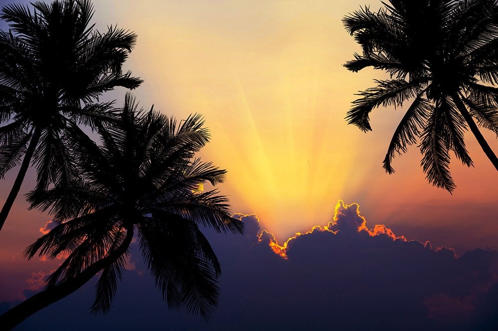 Dr. Joe Dispenza Week-Long Retreat - What To Expect!