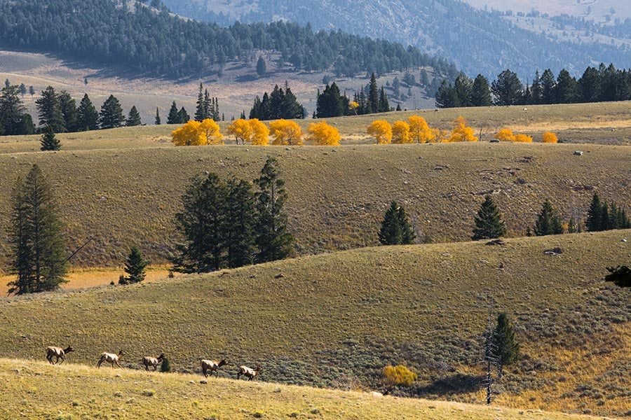 10 Fall Trip Ideas to Montana’s National Parks