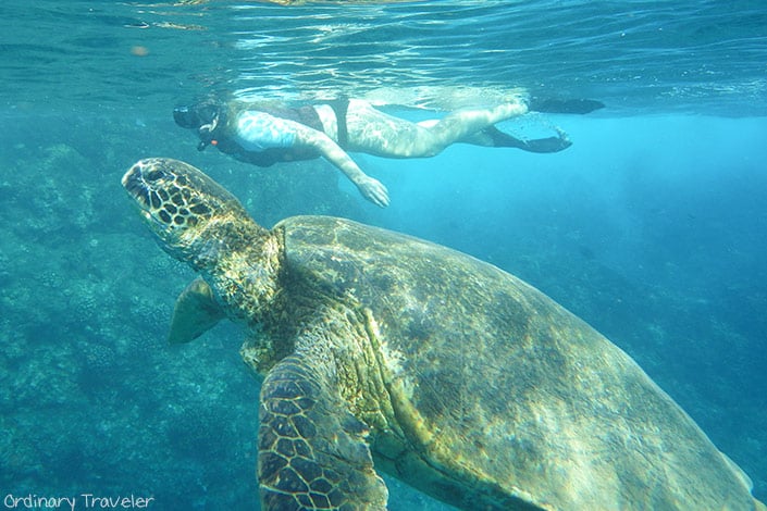 How to Save Money When Traveling to Maui