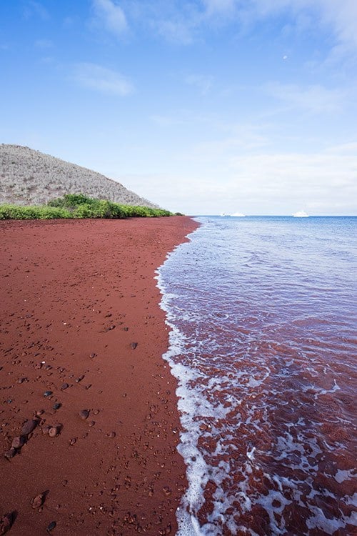 Rabida Island Tour Galapagos