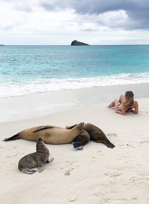 Cruising the Galapagos Islands with Andando Tours