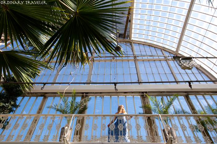 Gothenburg Botanical Garden Palm House Sweden