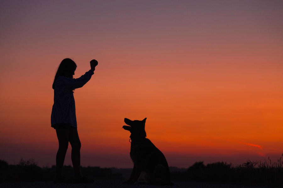 Why We Love Using TrustedHouseSitters When We Travel