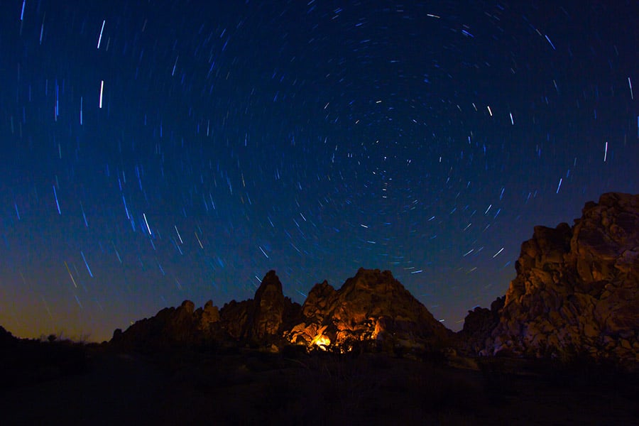 Camping In Joshua Tree (When To Go & The Best Campgrounds)