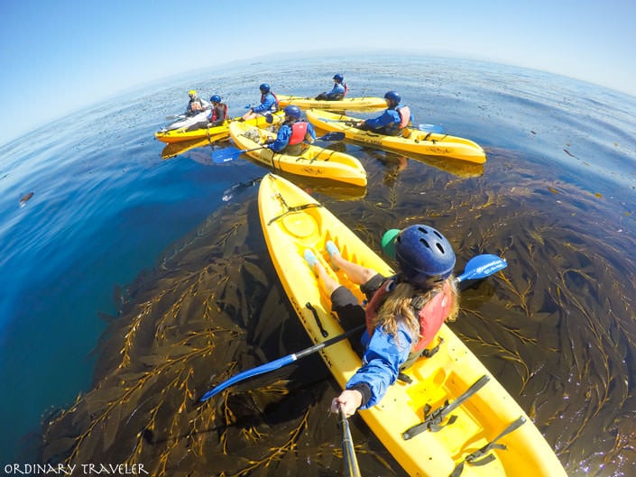 Kayaking Channel Islands Santa Cruz Island