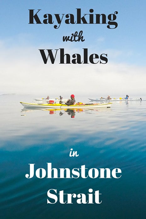 Kayaking with Whales in Johnstone Strait, North Vancouver Island