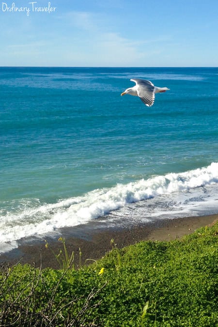Cambria California Beaches