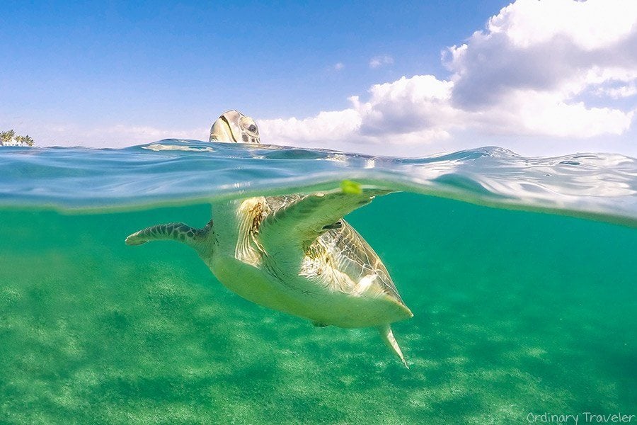 25 Best Honeymoon Destinations Around The World (And Where To Stay)