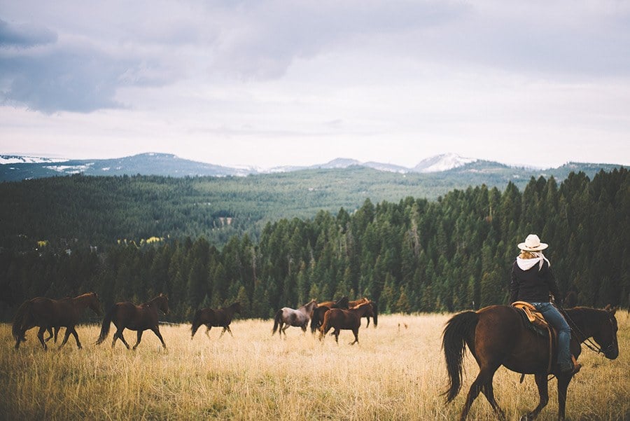 5 Unique Western Experiences to Try in Montana