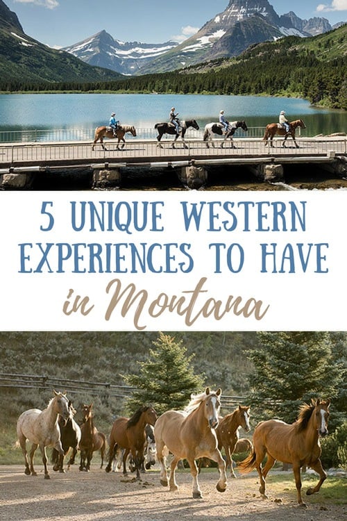 5 Unique Western Experiences to Try in Montana