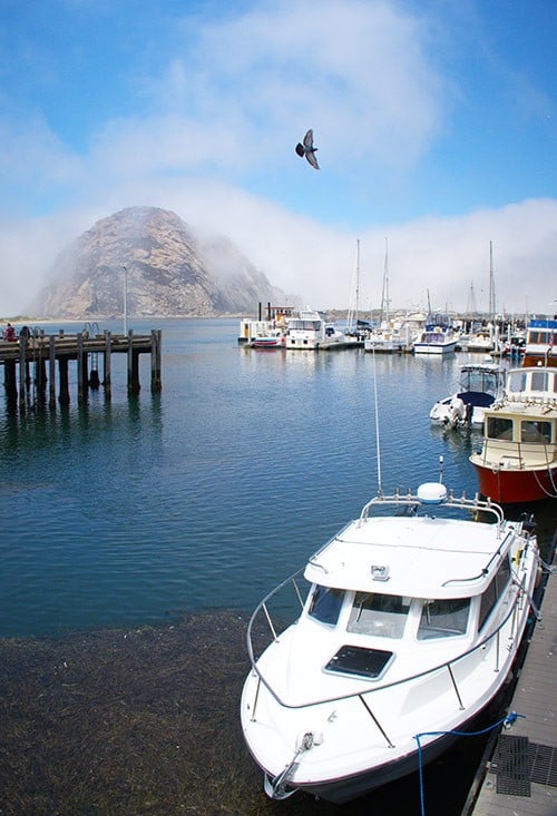 Boat in Morro Bay with Morro Rock in Background