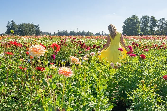 Things To Do in Mt. Hood, Oregon (+ Where To Stay)