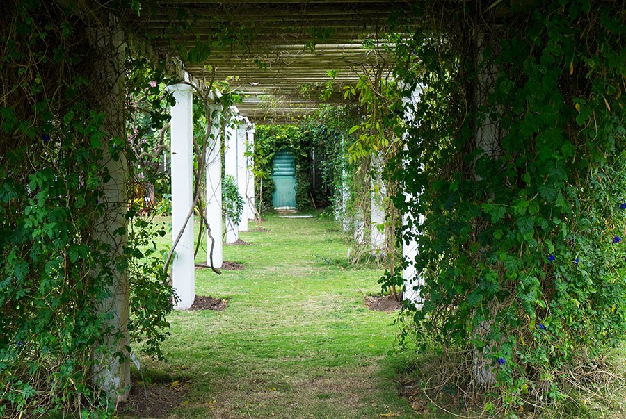 Nevis, Caribbean Travel Guide & Packing Tips