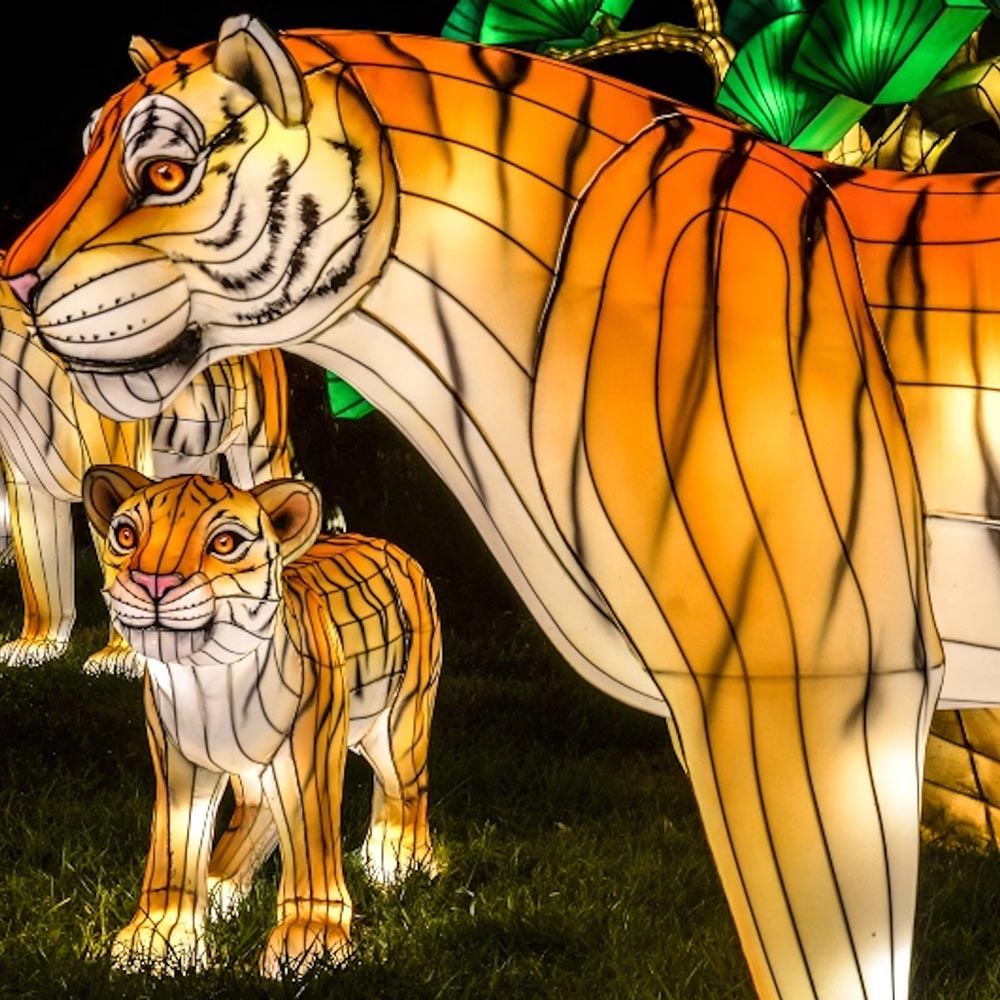 Bronx Zoo Holiday Lights Experience