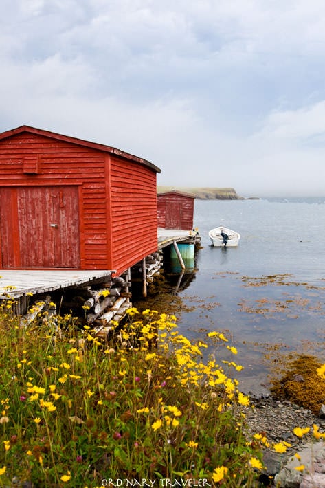 Eastern Newfoundland Road Trip Ideas