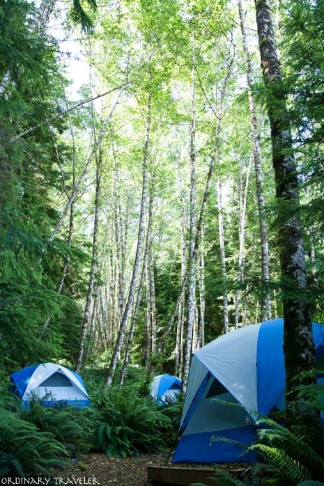 Telegraph Cove Kayak Camping North Vancouver Island