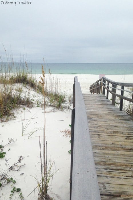 Six Must-Dive Sites in Pensacola, Florida