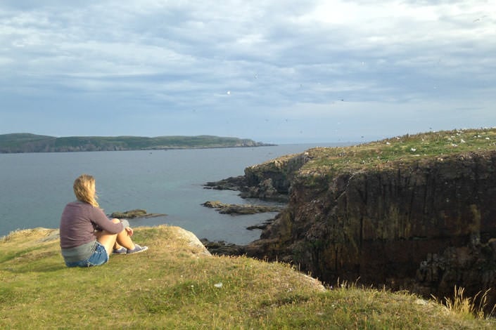 Puffin Viewing Site in Elliston Newfoundland