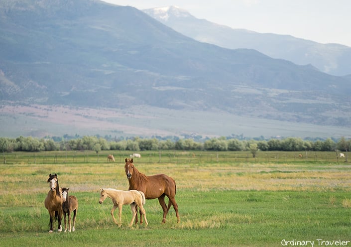 The Ultimate Road Trip Guide to Utah's National Parks