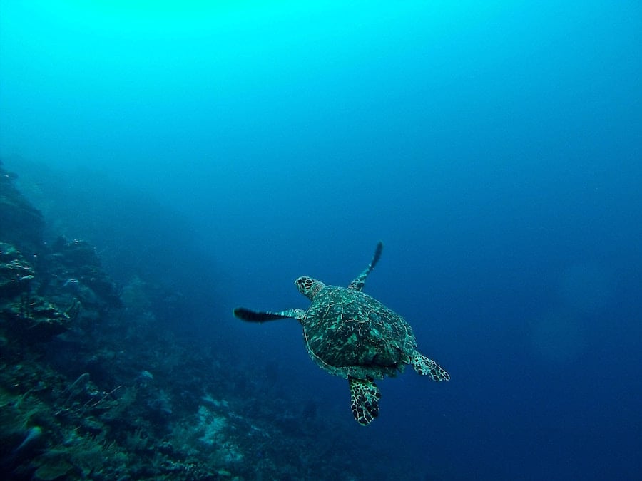 16 Affordable Tropical Destinations for Every Budget