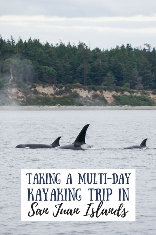 Kayaking in the San Juan Islands: Everything You Need to Know
