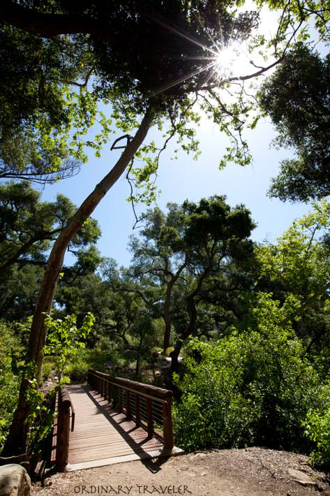 Santa Barbara Botanic Garden