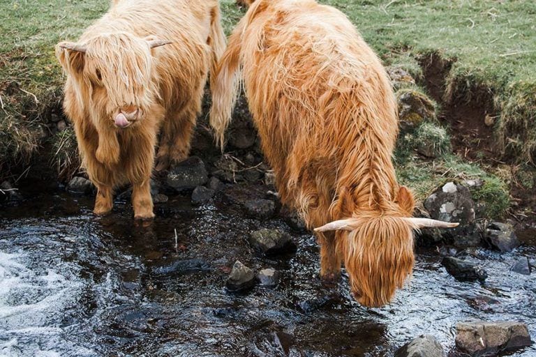 Scotland Travel Packing Guide