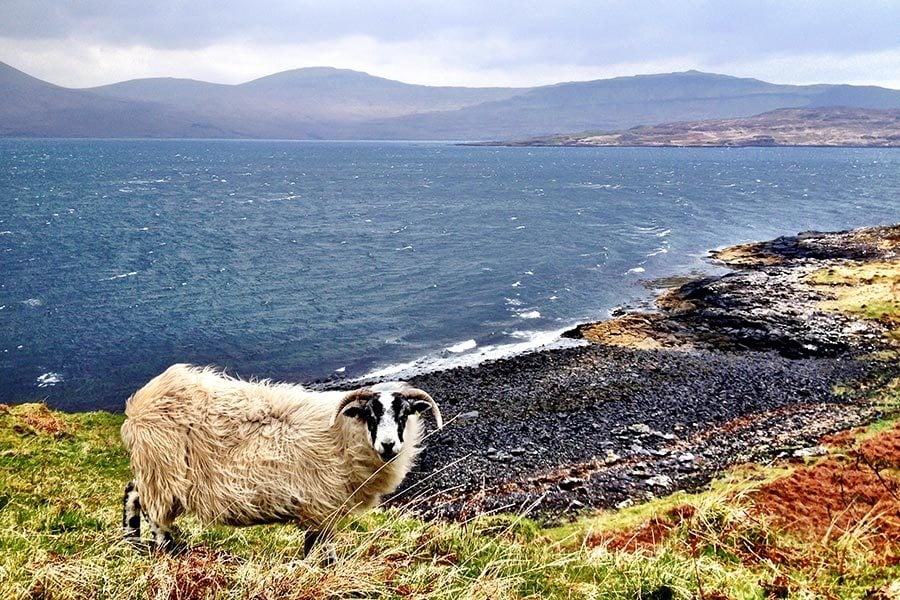Scotland Travel Packing Guide