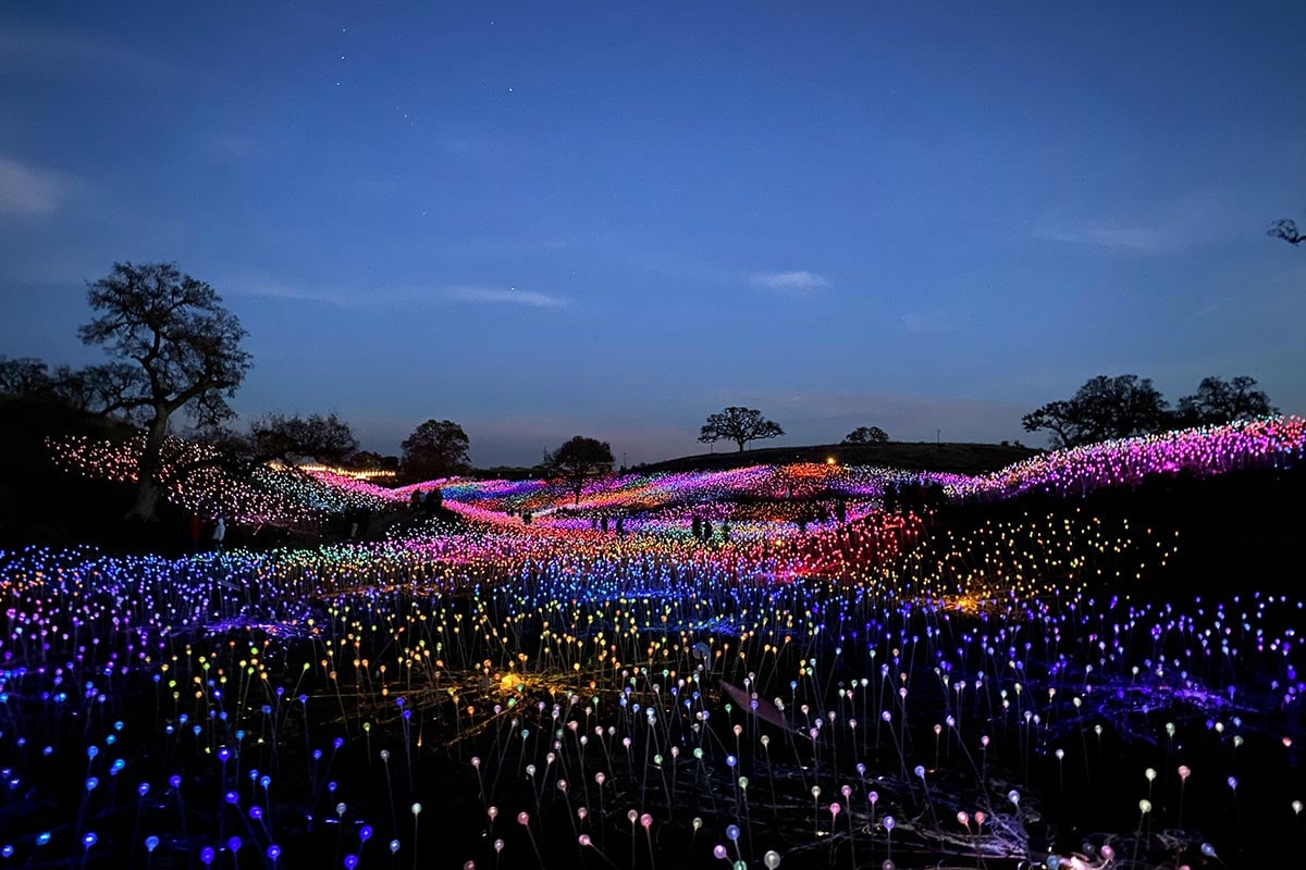 sensorio light show paso robles california