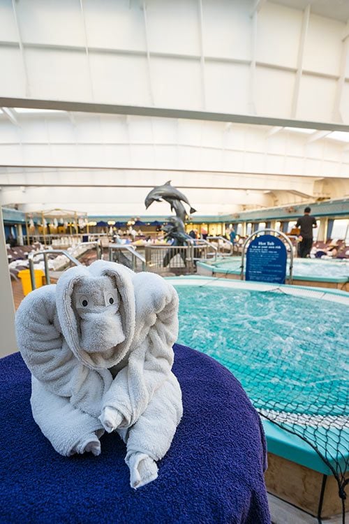 17 Days in the South Pacific With Holland America