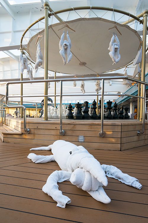 Towel Animal Zoo on Maasdam Holland America