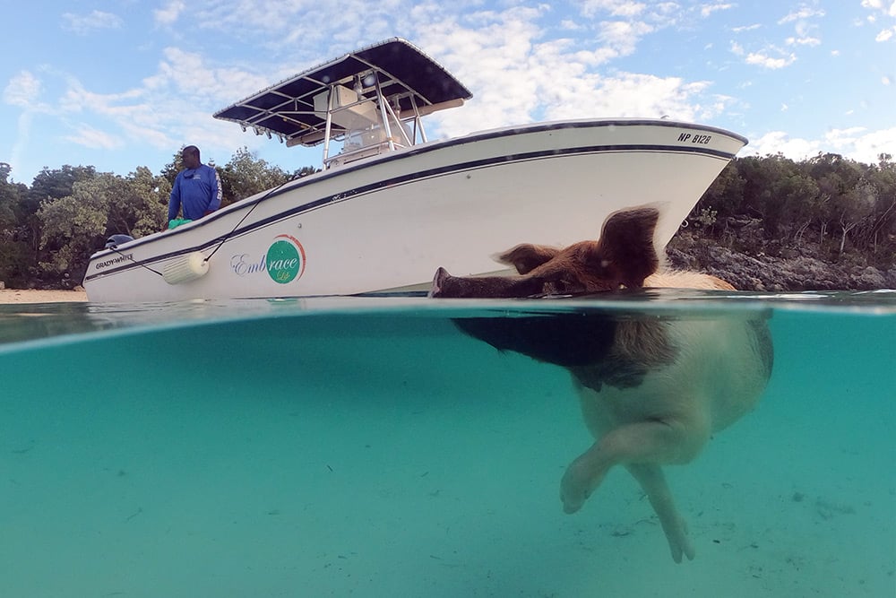 Staniel Cay Travel Guide - Exuma Cays, Bahamas