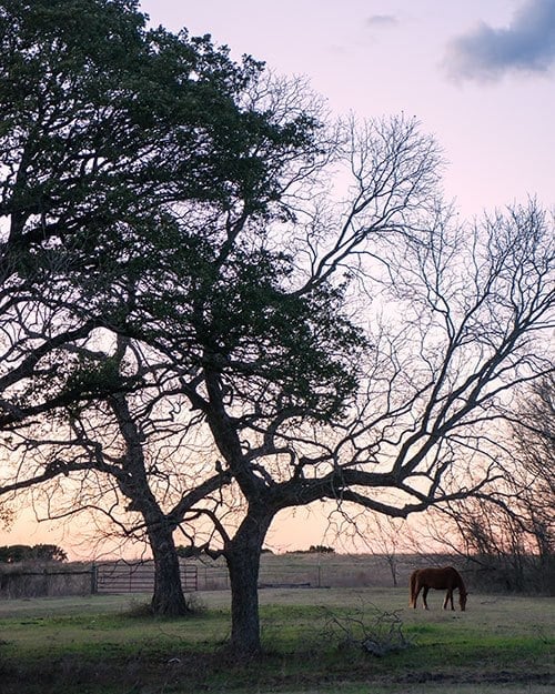 Small Town Weekend Getaways in Texas
