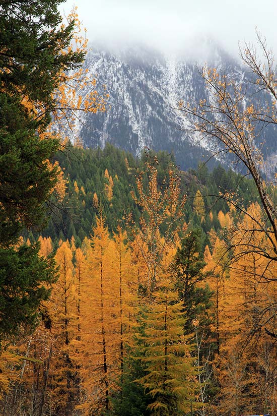 10 Fall Trip Ideas to Montana’s National Parks