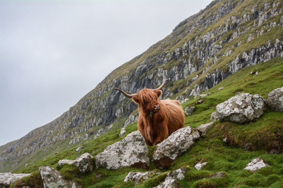Scotland Travel Tips: Everything You Need to Know