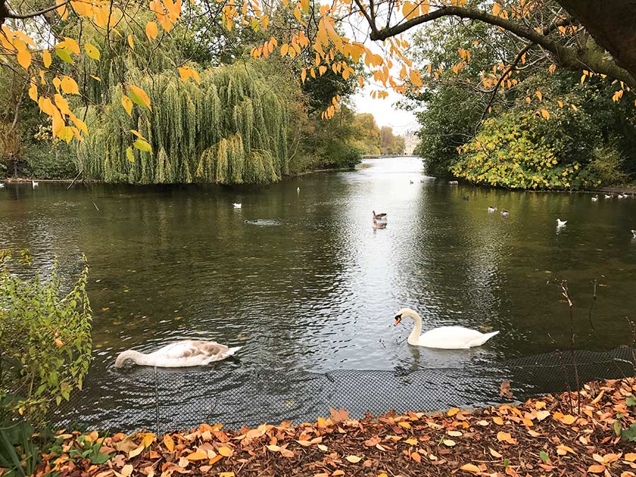 Exploring London with Sheraton Grand Park Lane