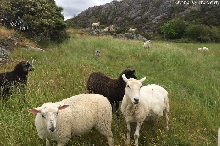 Tjorn Island West Sweden Meet the Swedes Project