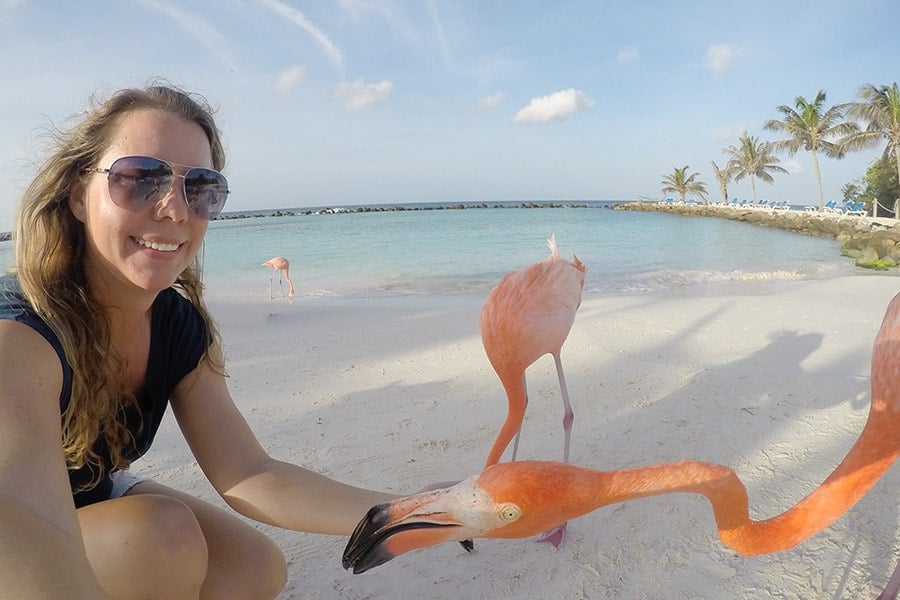 How To Get Paid To Travel The World - Insider Tips!