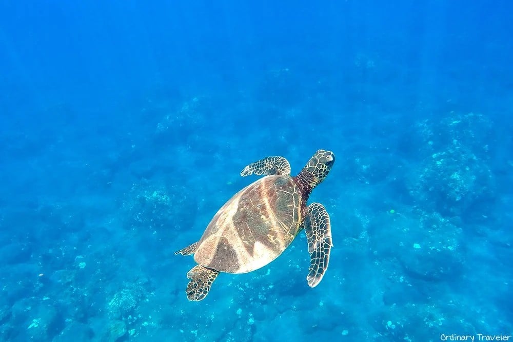 Best Tropical Island Vacations