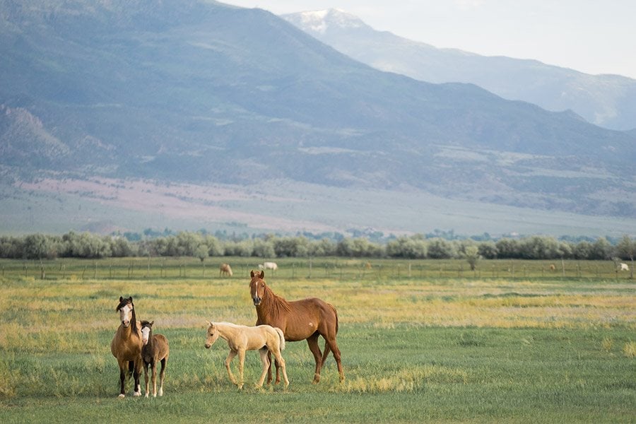 What to Pack for a Trip to Utah's National Parks