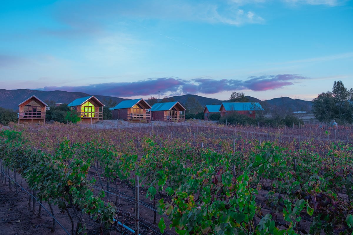 Weekend Trip to Valle De Guadalupe Mexico