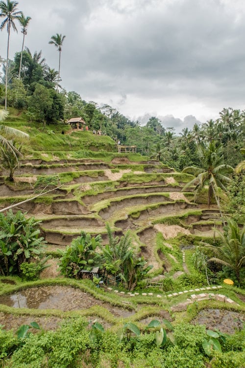 16 Affordable Tropical Destinations for Every Budget