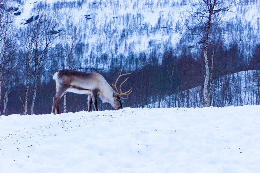 The Best Time to Visit Norway (Depending On What You Want To See)