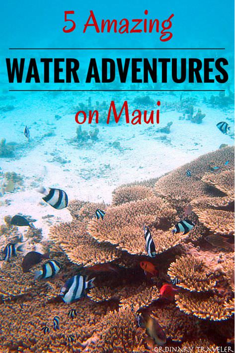 Five Amazing Water Adventures on Maui