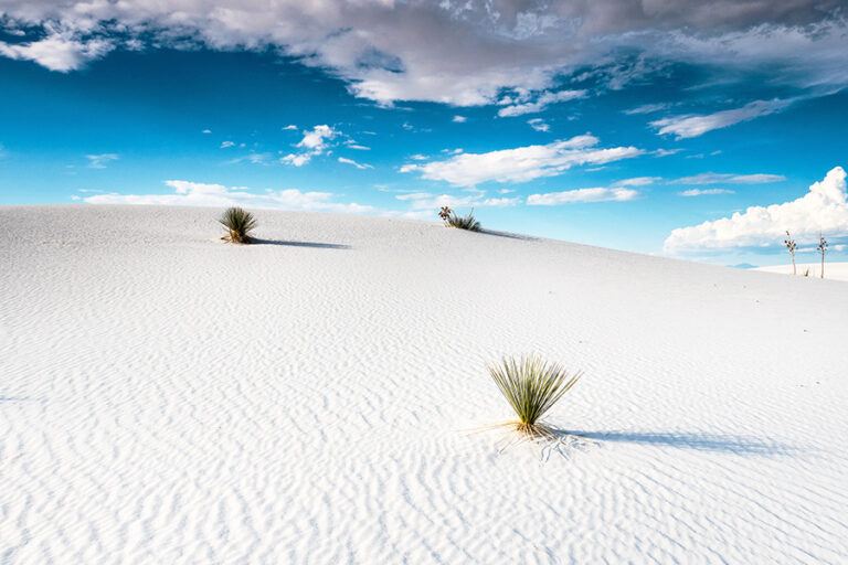 White Sands National Park Travel Guide