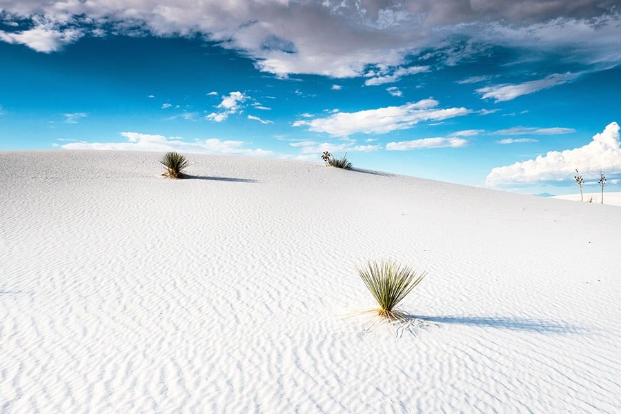White Sands National Park Travel Guide