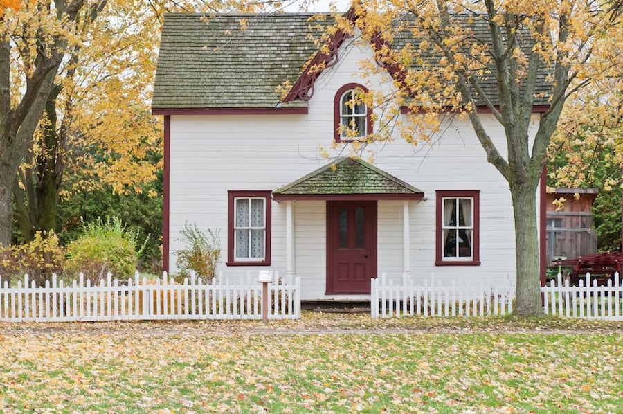 Why We Love Using TrustedHouseSitters When We Travel